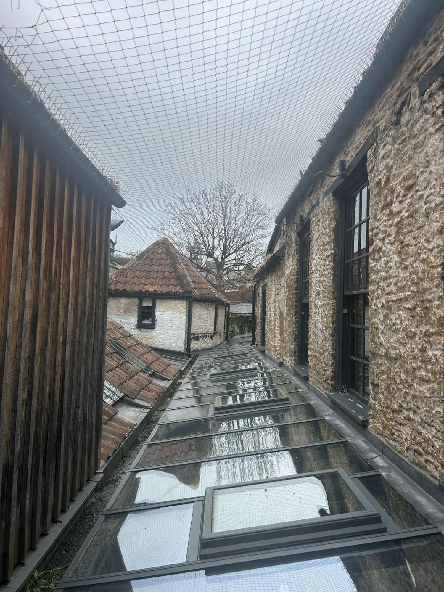 The Archangel,Restaurant & Bar With Rooms Frome Εξωτερικό φωτογραφία
